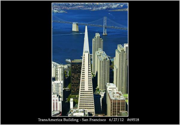 TransAmerica12062769518